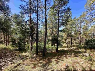 Residential Land For Sale in Bayfield, Colorado