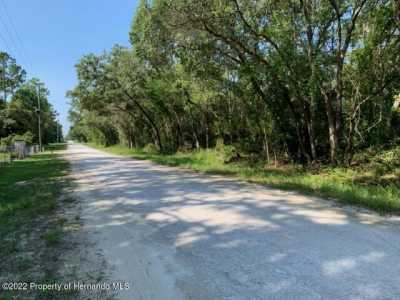 Residential Land For Sale in Webster, Florida