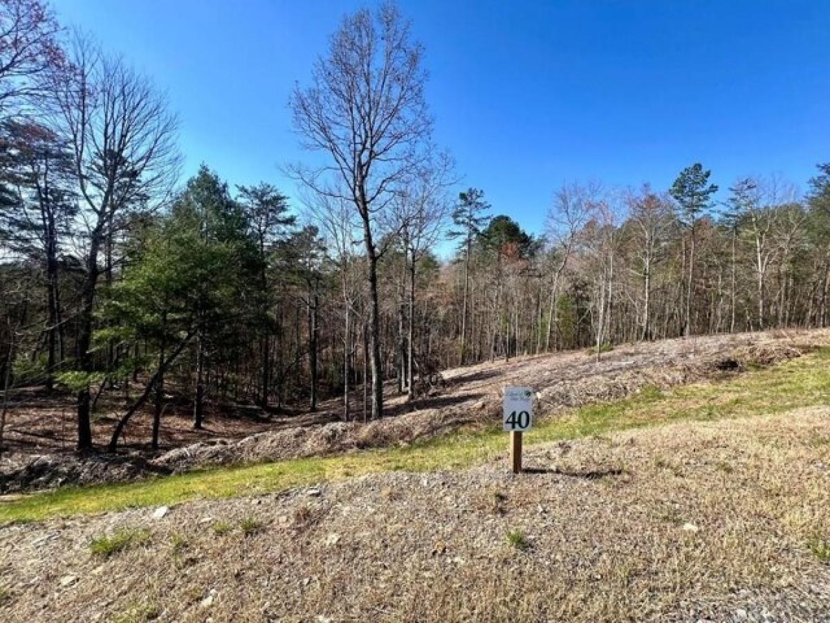 Picture of Residential Land For Sale in Mineral Bluff, Georgia, United States