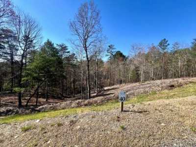 Residential Land For Sale in Mineral Bluff, Georgia