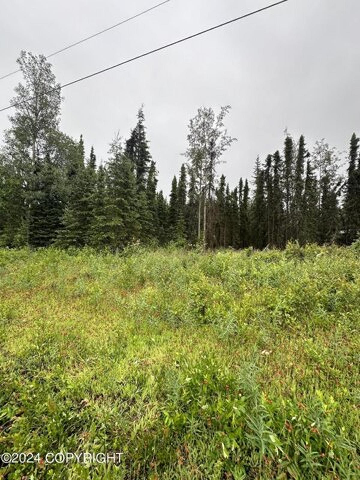 Picture of Residential Land For Sale in Kenai, Alaska, United States