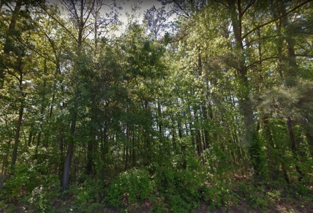 Picture of Residential Land For Sale in Kenly, North Carolina, United States