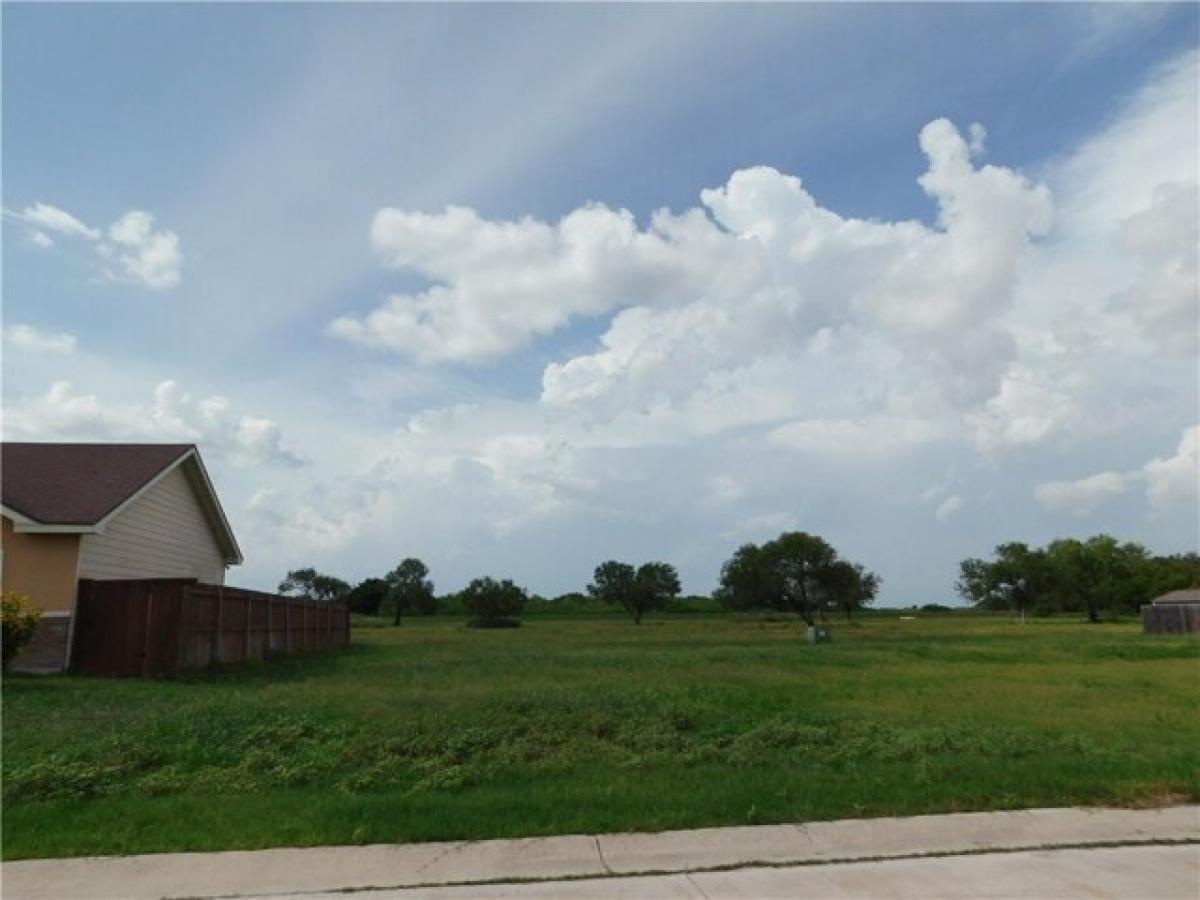 Picture of Residential Land For Sale in Alice, Texas, United States