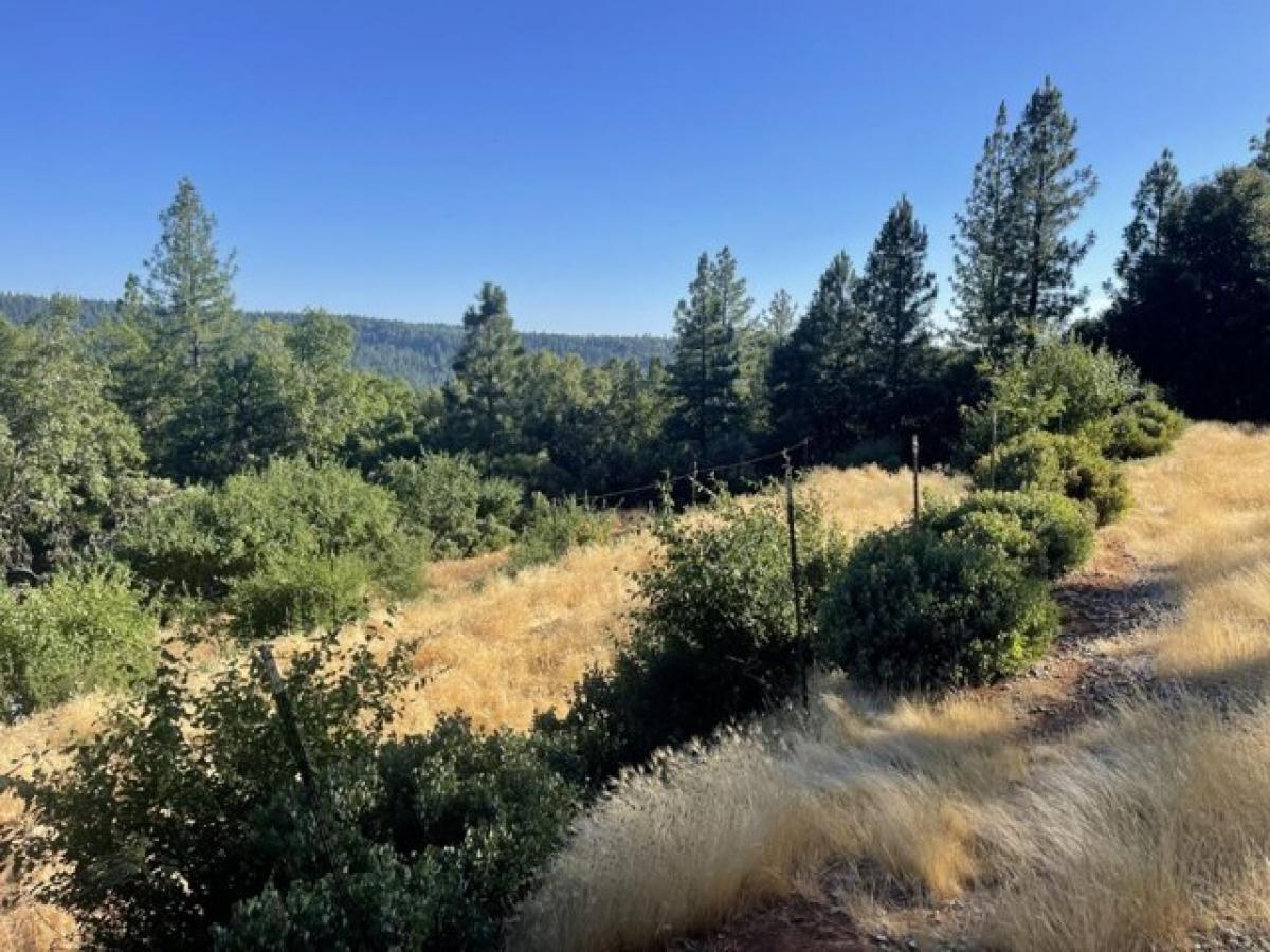 Picture of Residential Land For Sale in Nevada City, California, United States