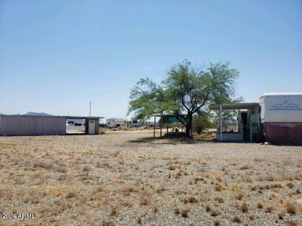 Picture of Residential Land For Sale in Salome, Arizona, United States