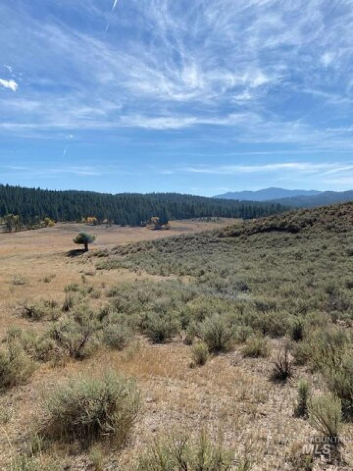 Picture of Residential Land For Sale in Donnelly, Idaho, United States