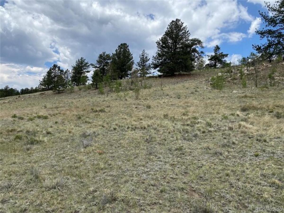 Picture of Residential Land For Sale in Jefferson, Colorado, United States