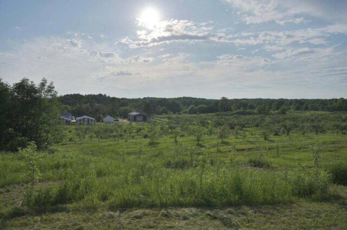 Picture of Residential Land For Sale in Antigo, Wisconsin, United States