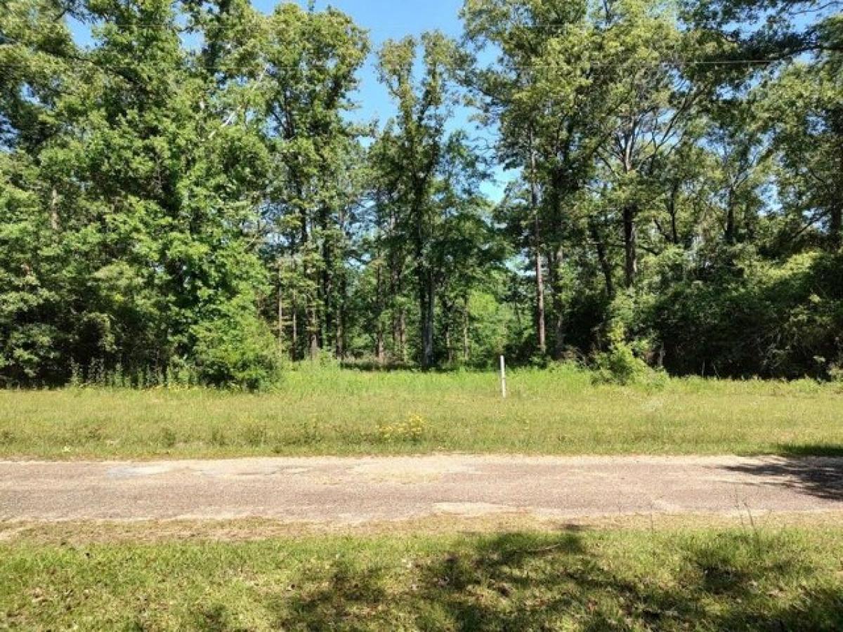 Picture of Residential Land For Sale in Lumberton, Mississippi, United States