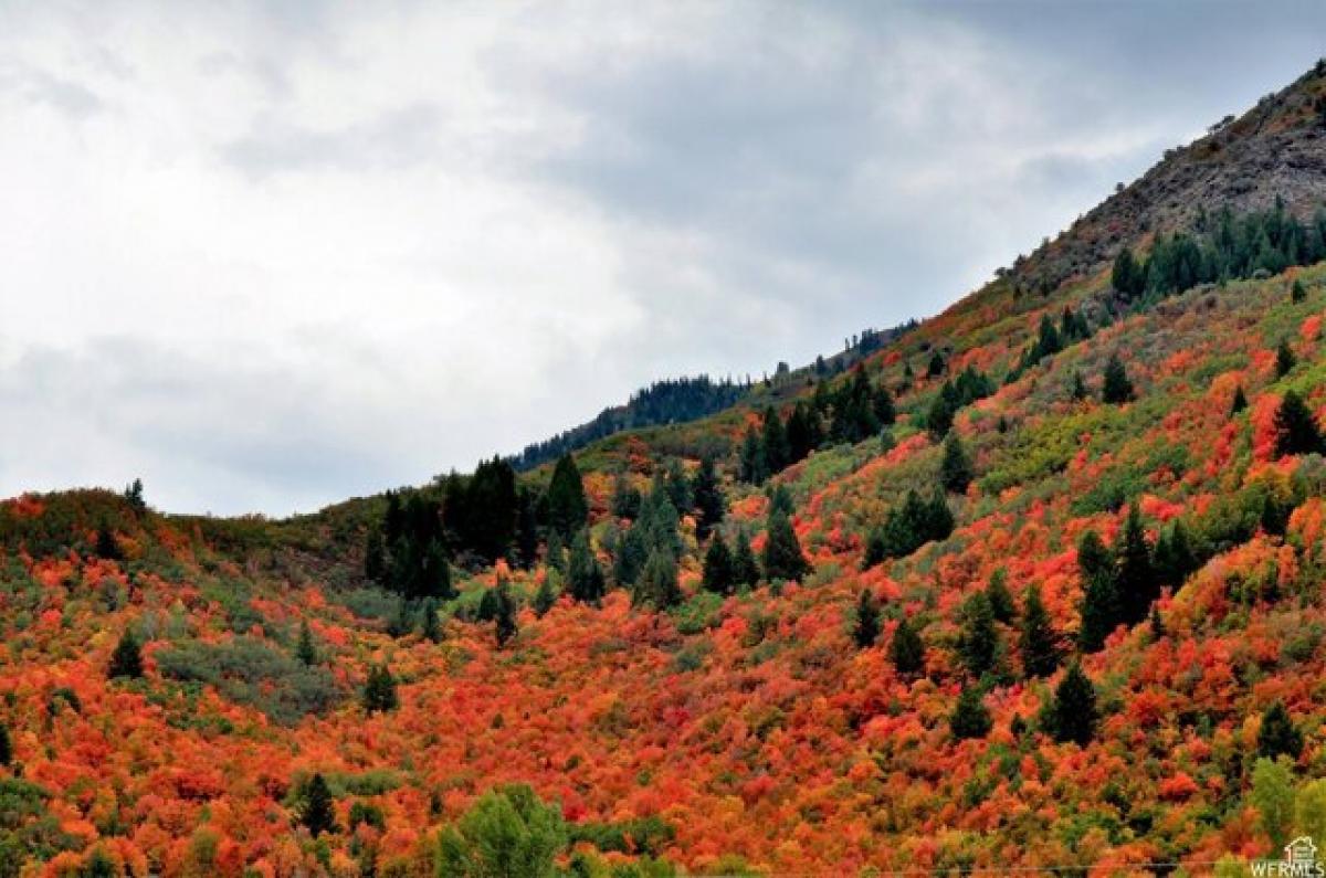 Picture of Residential Land For Sale in Huntsville, Utah, United States