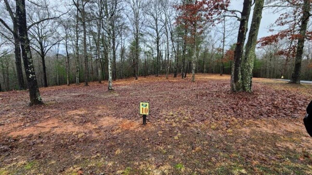 Picture of Residential Land For Sale in Mineral Bluff, Georgia, United States