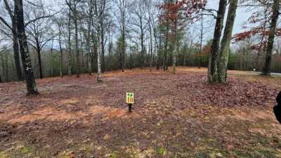 Residential Land For Sale in Mineral Bluff, Georgia