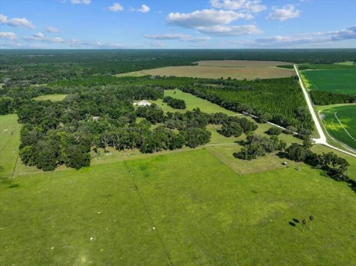 Picture of Residential Land For Sale in Old Town, Florida, United States