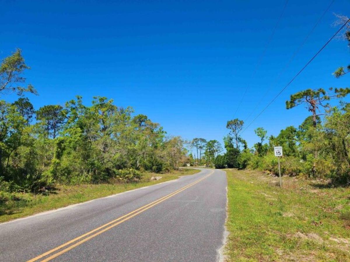 Picture of Residential Land For Sale in Perry, Florida, United States