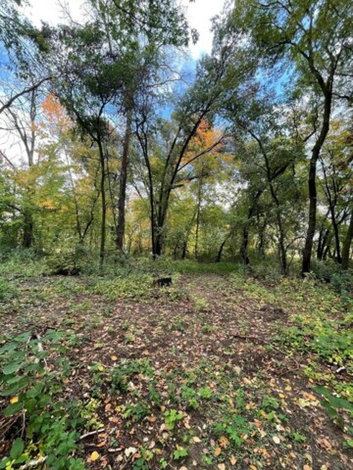 Picture of Residential Land For Sale in Stacy, Minnesota, United States