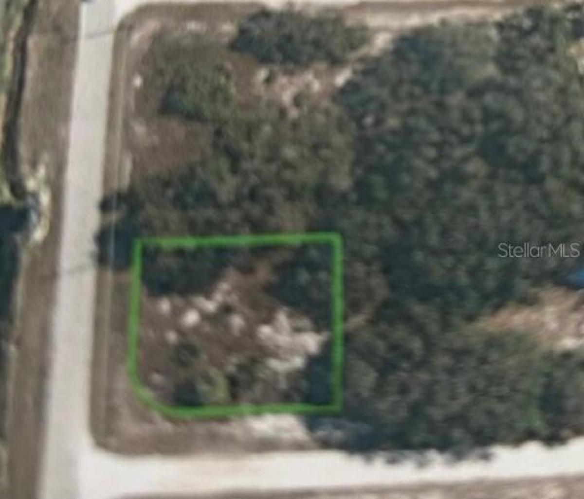 Picture of Residential Land For Sale in Avon Park, Florida, United States