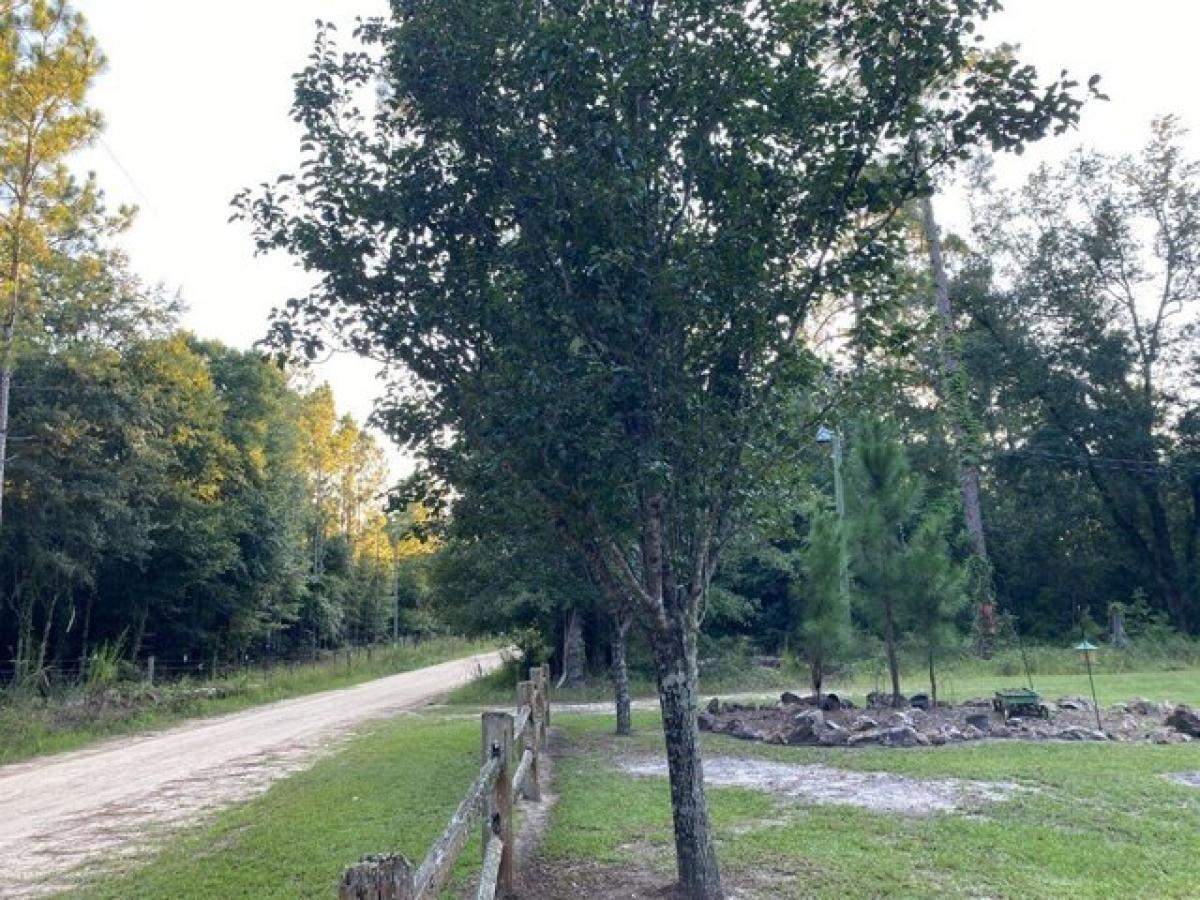 Picture of Home For Sale in Colquitt, Georgia, United States