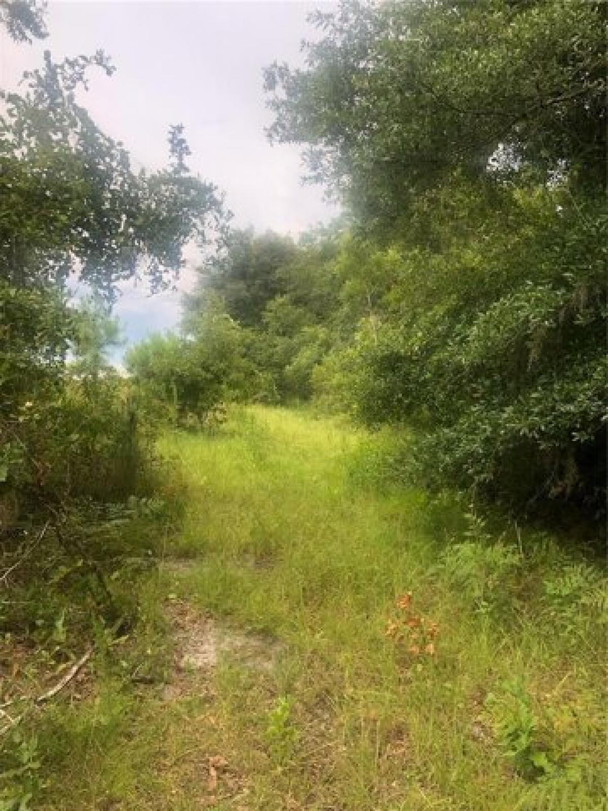 Picture of Residential Land For Sale in Waldo, Florida, United States