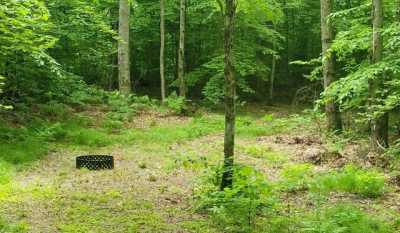 Residential Land For Sale in White Cloud, Michigan