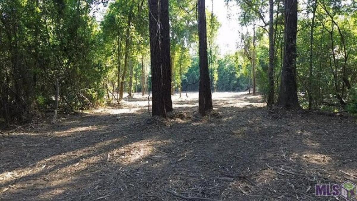 Picture of Residential Land For Sale in Folsom, Louisiana, United States