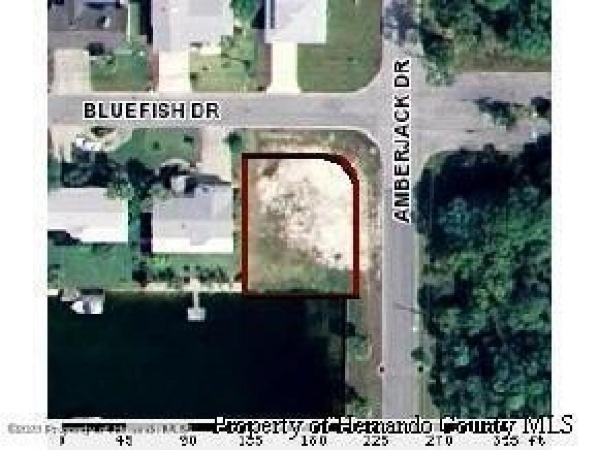 Picture of Residential Land For Sale in Hernando Beach, Florida, United States