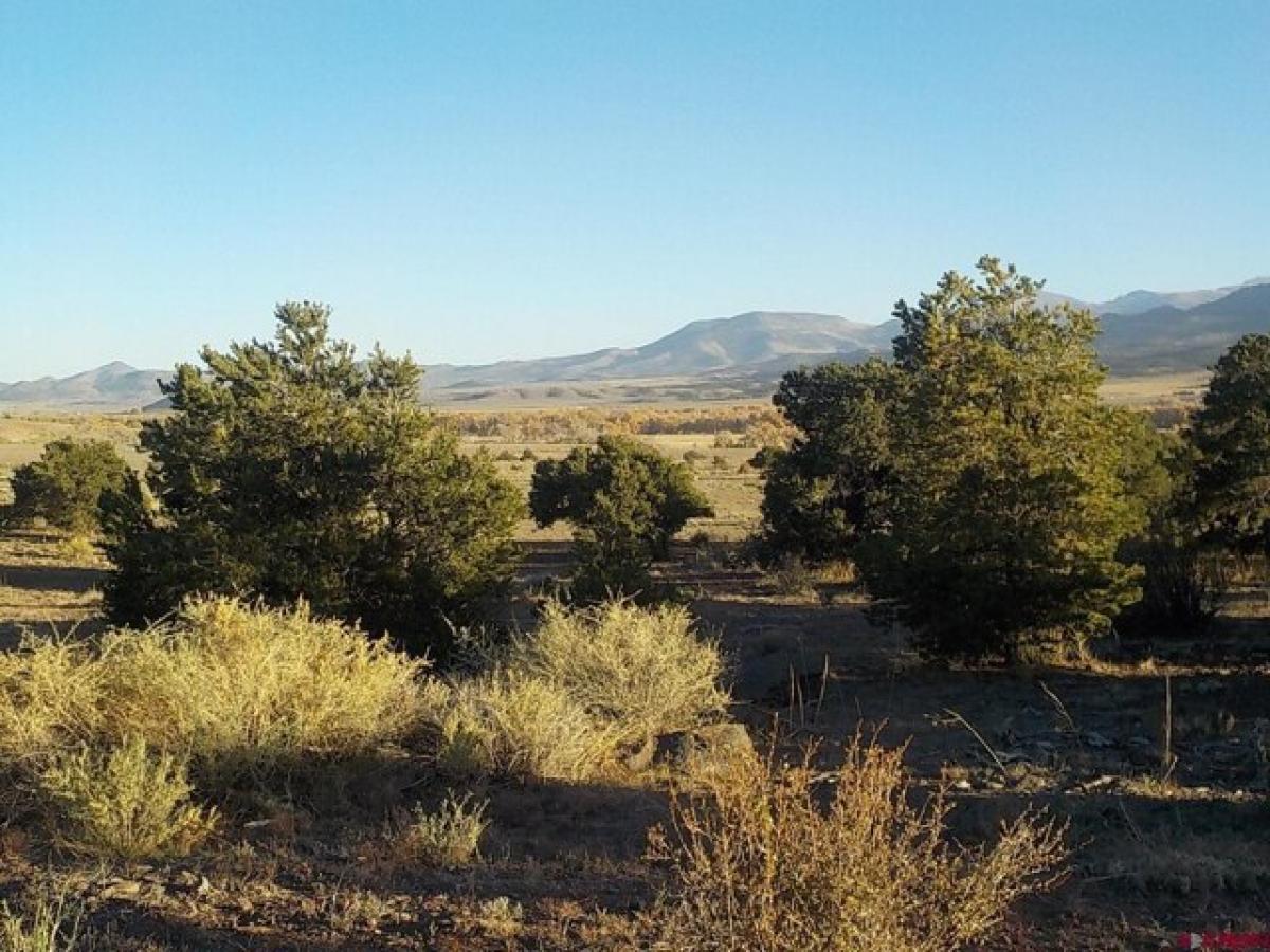 Picture of Residential Land For Sale in South Fork, Colorado, United States