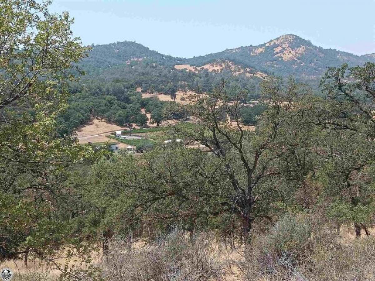 Picture of Residential Land For Sale in Angels Camp, California, United States