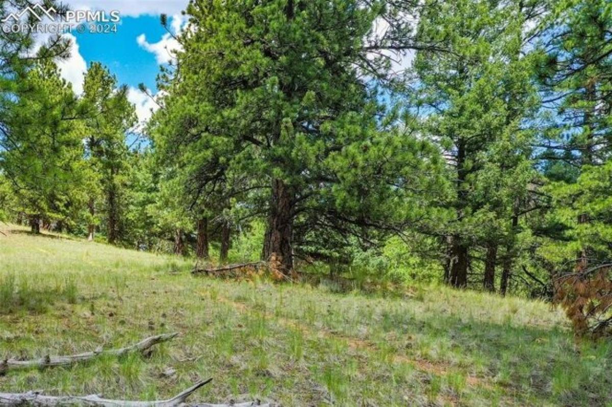 Picture of Residential Land For Sale in Florissant, Colorado, United States