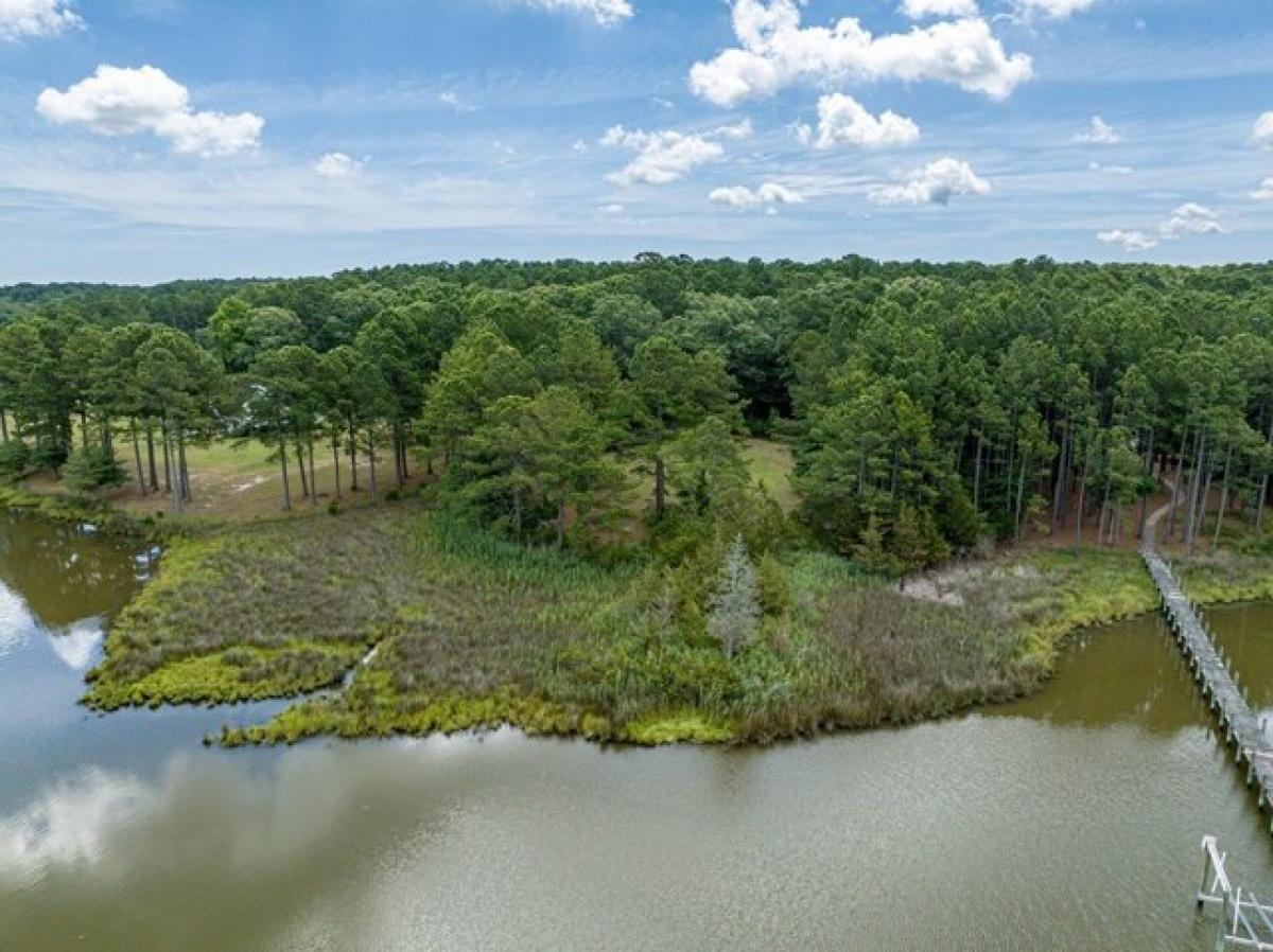 Picture of Residential Land For Sale in Melfa, Virginia, United States