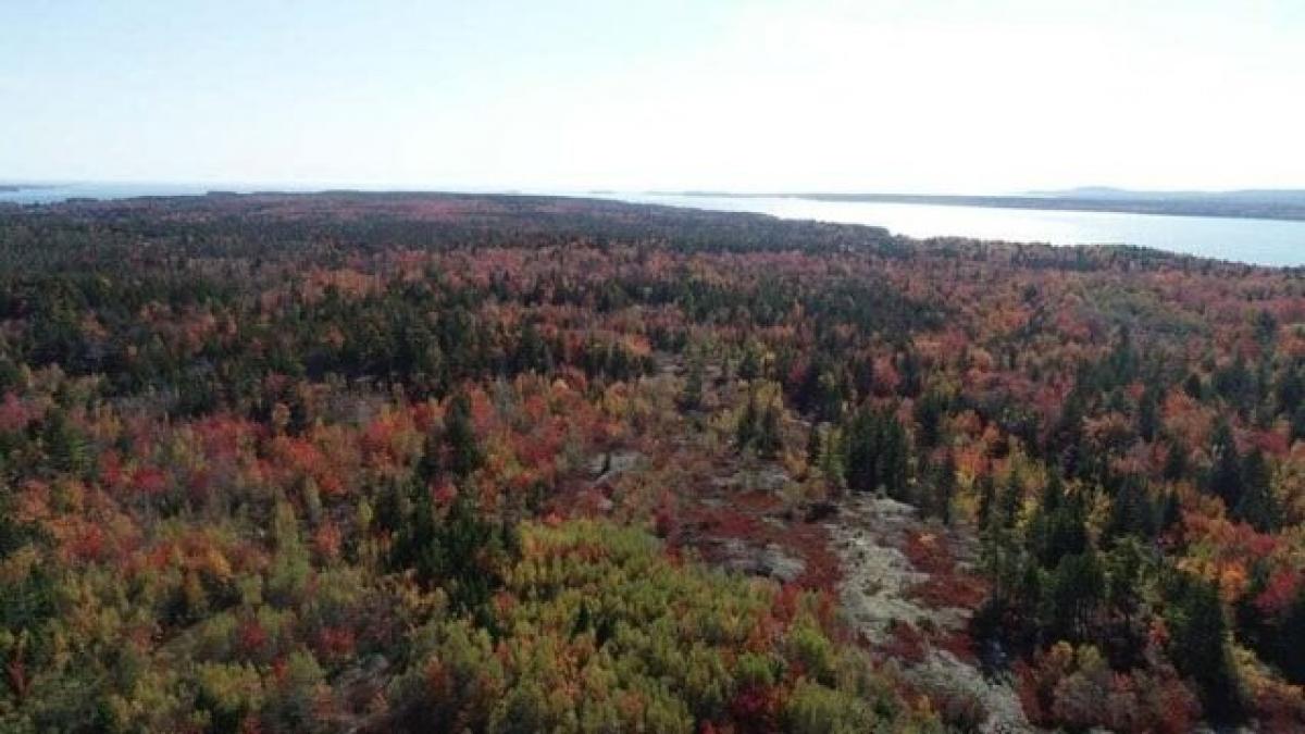 Picture of Residential Land For Sale in Steuben, Maine, United States