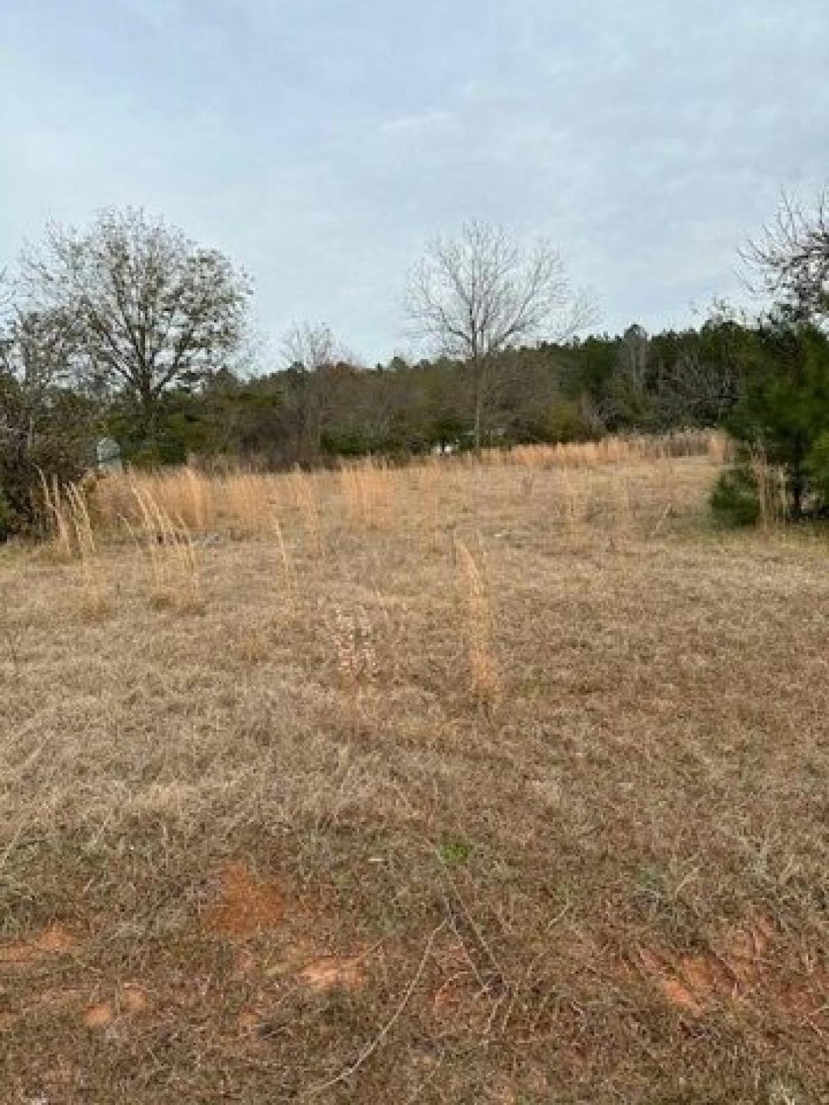 Picture of Residential Land For Sale in Wedgefield, South Carolina, United States