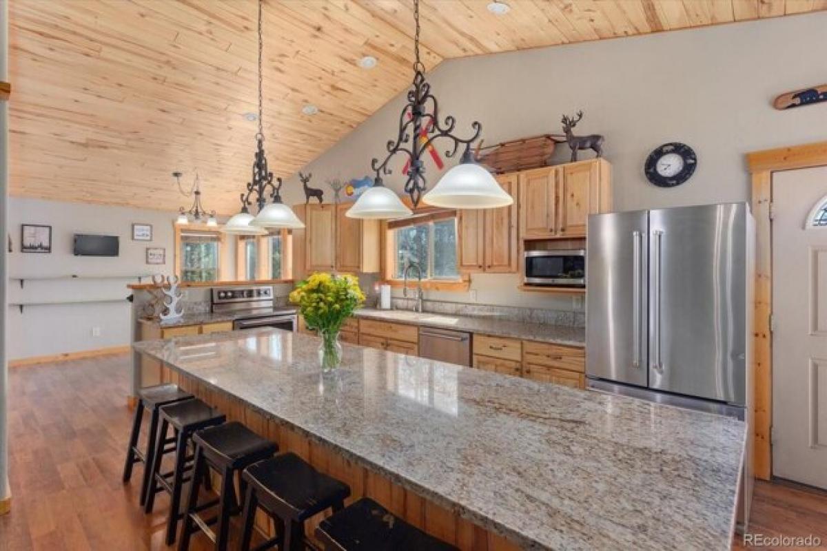 Picture of Home For Sale in Twin Lakes, Colorado, United States