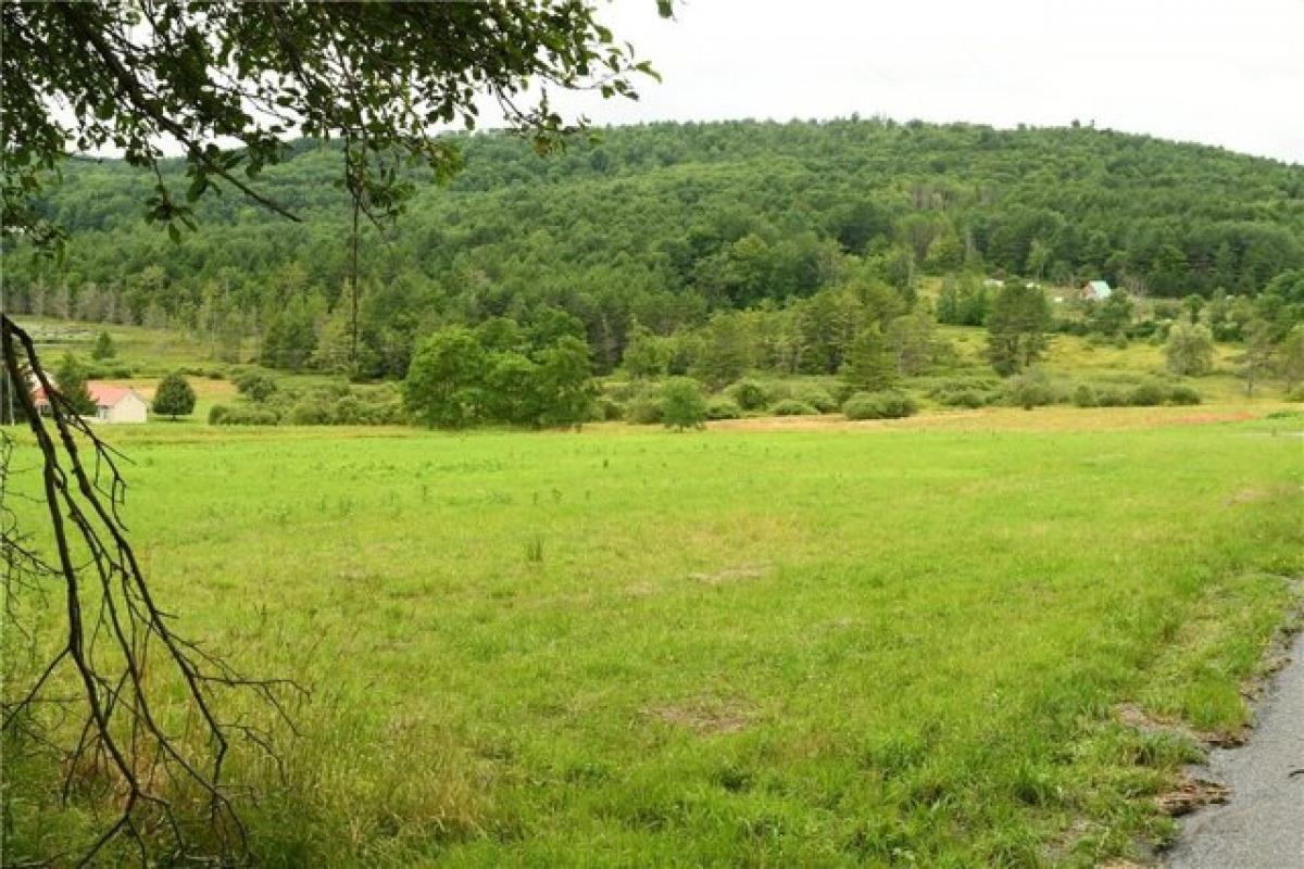 Picture of Residential Land For Sale in Unadilla, New York, United States