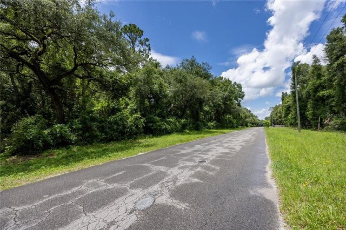 Picture of Residential Land For Sale in Fanning Springs, Florida, United States