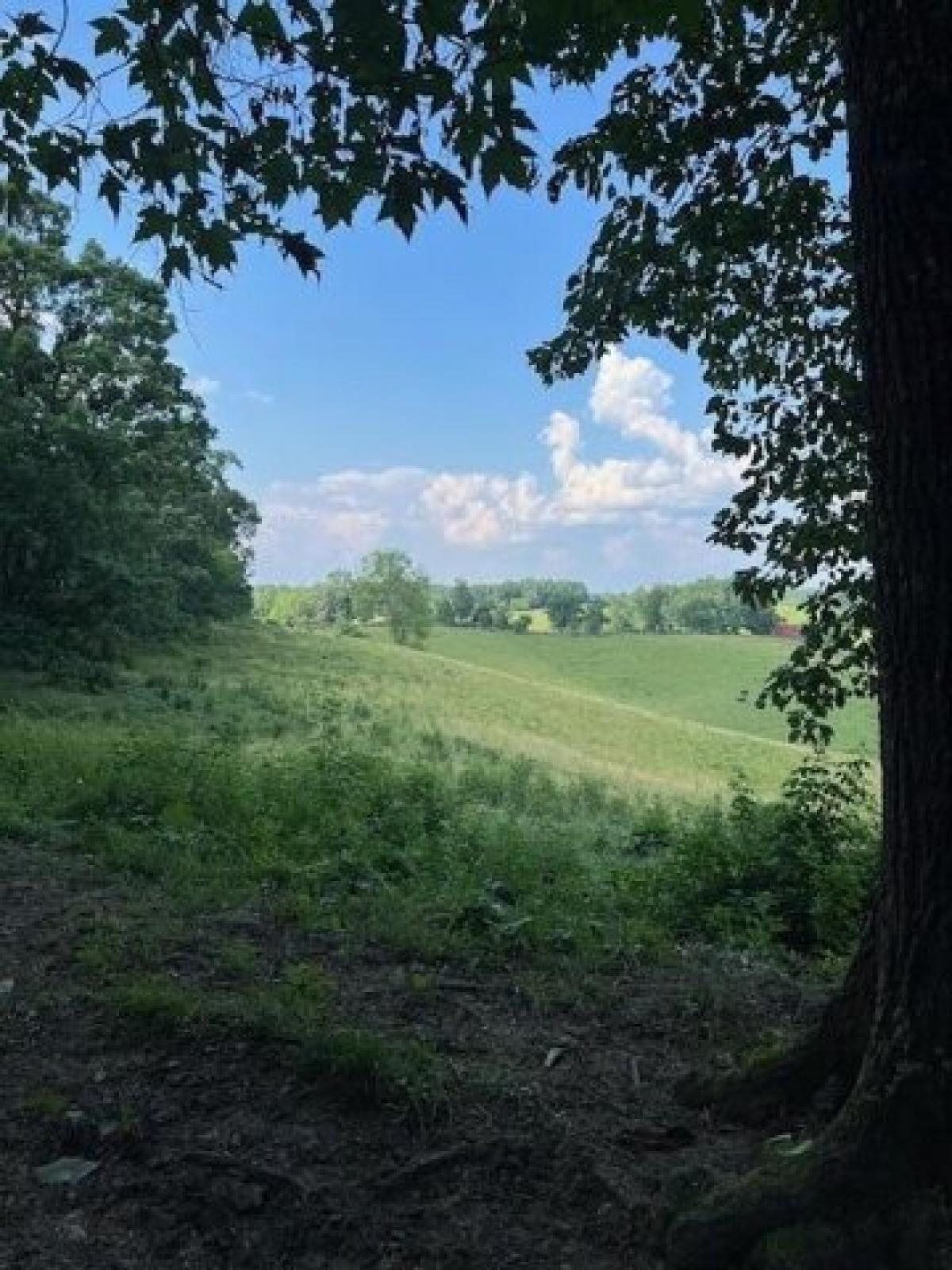 Picture of Residential Land For Sale in Wellington, Kentucky, United States