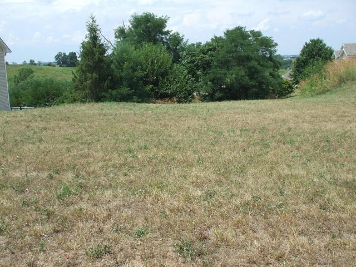 Picture of Residential Land For Sale in Lawrenceburg, Kentucky, United States