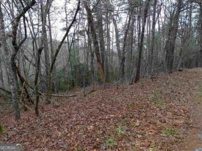 Residential Land For Sale in Cleveland, Georgia