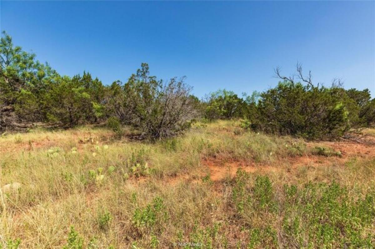 Picture of Residential Land For Sale in Tuscola, Texas, United States