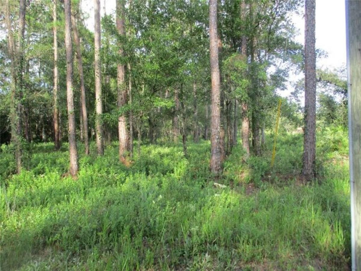 Picture of Residential Land For Sale in Hilliard, Florida, United States