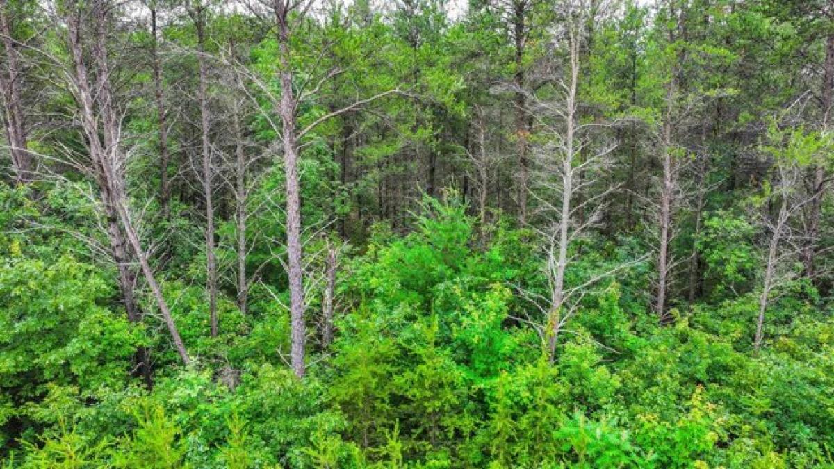 Picture of Residential Land For Sale in Stevens Point, Wisconsin, United States