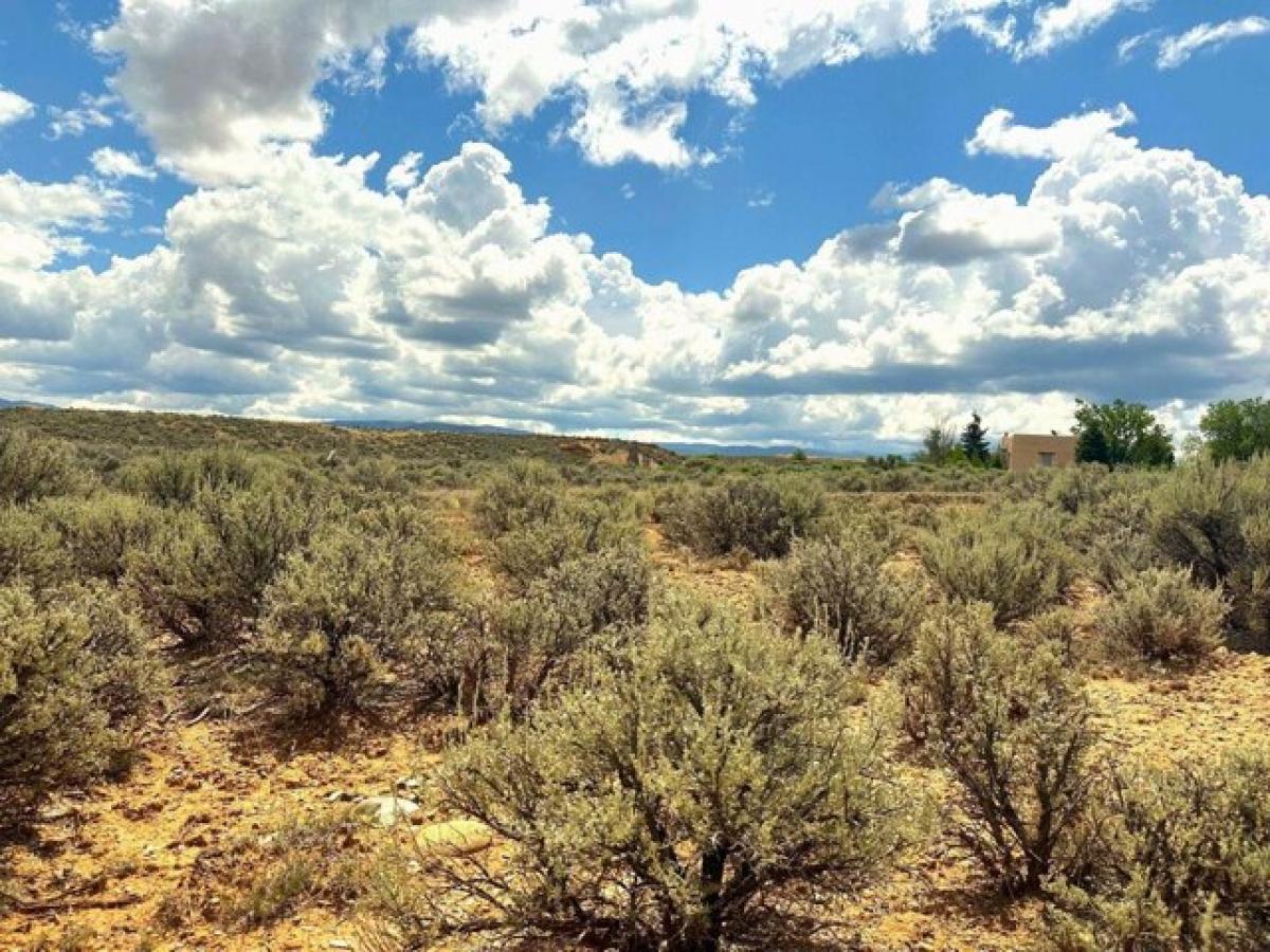 Picture of Residential Land For Sale in Ranchos de Taos, New Mexico, United States