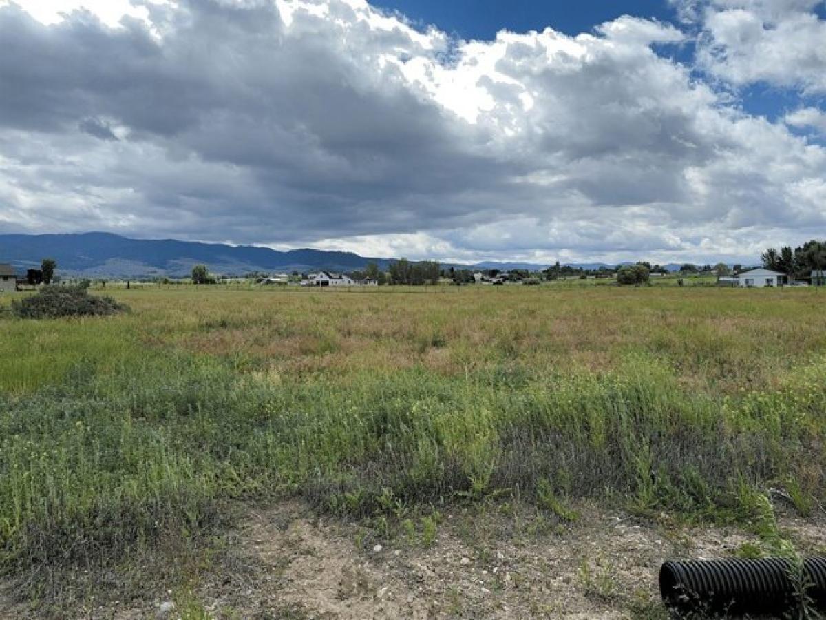 Picture of Residential Land For Sale in Corvallis, Montana, United States