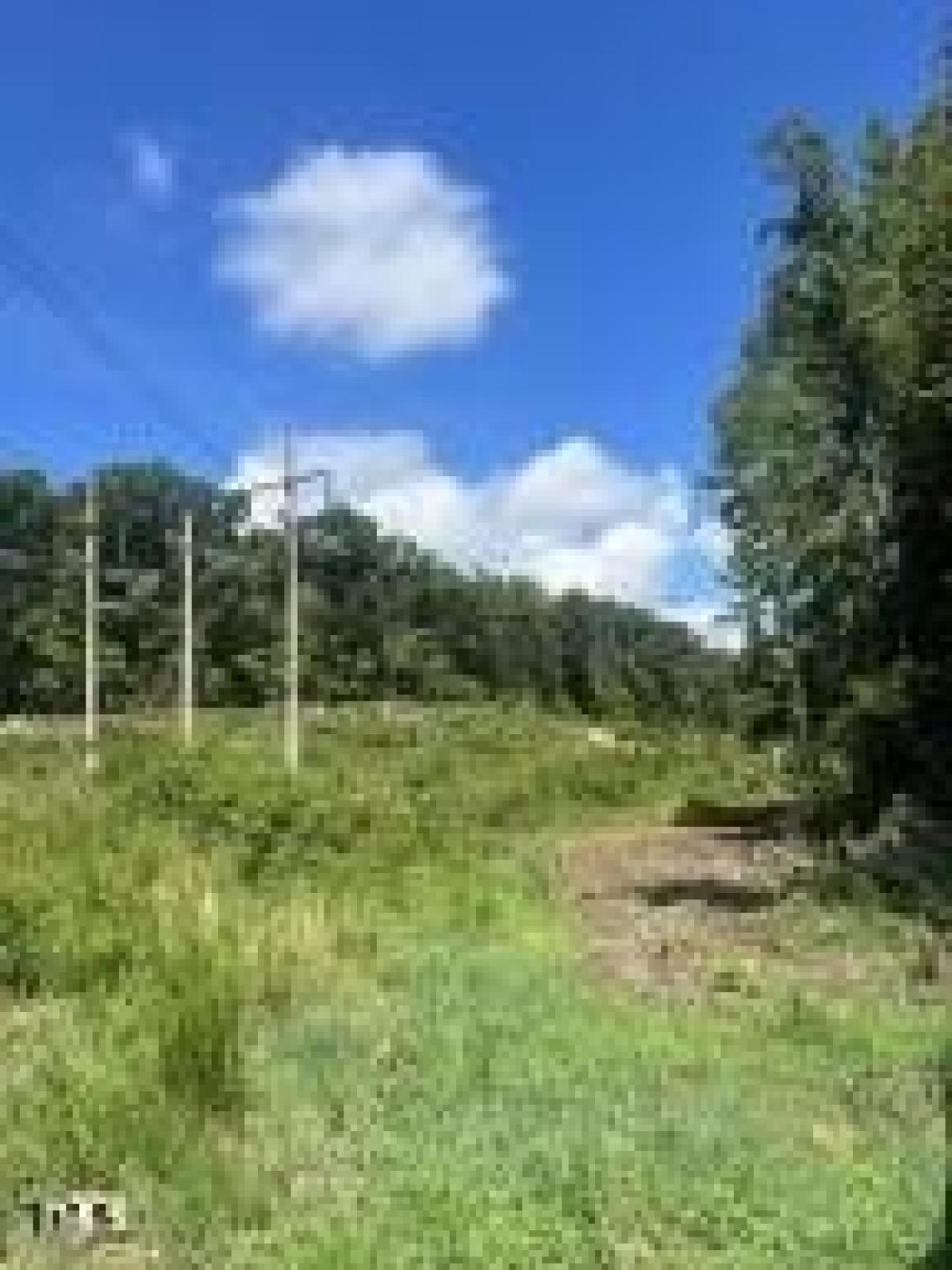 Picture of Residential Land For Sale in Roxboro, North Carolina, United States