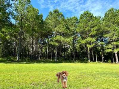 Residential Land For Sale in Leesburg, Georgia