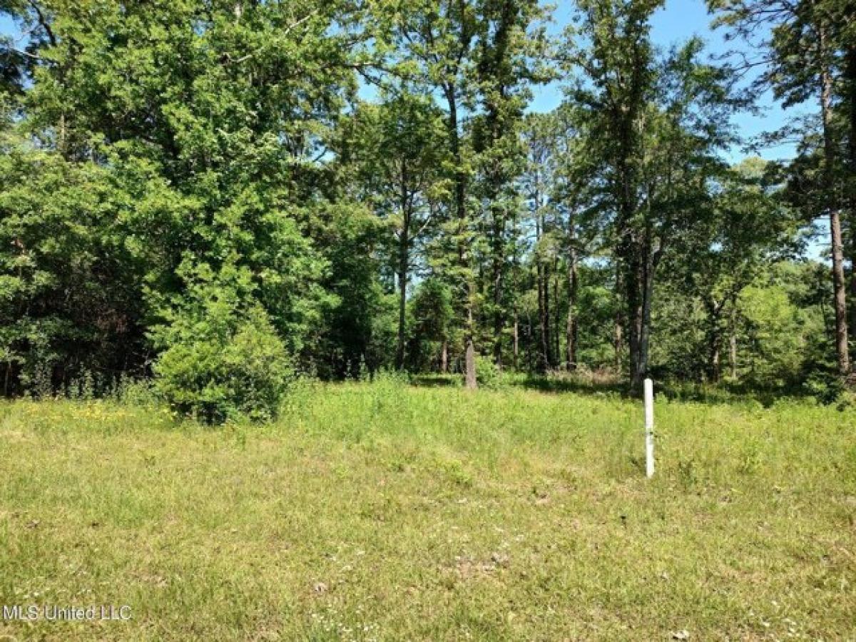 Picture of Residential Land For Sale in Lumberton, Mississippi, United States