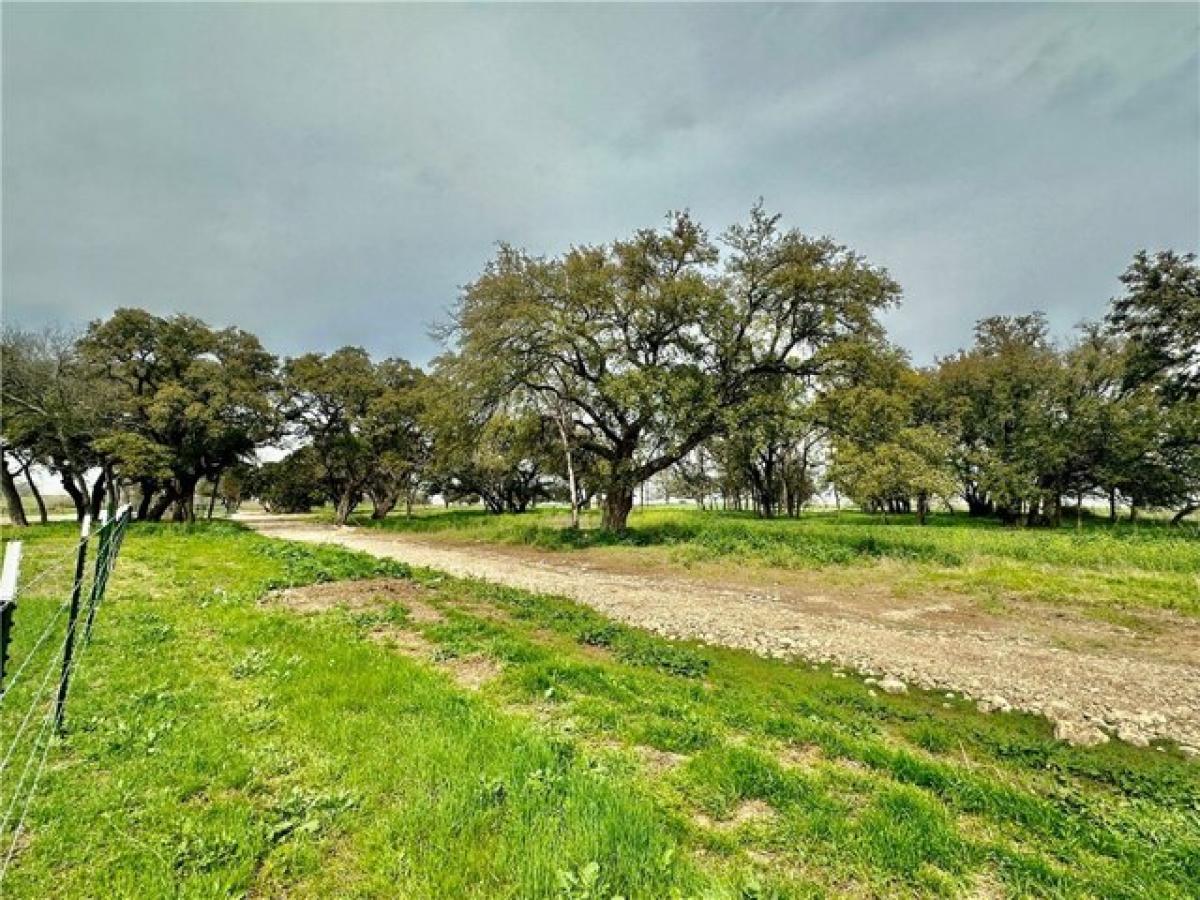 Picture of Residential Land For Sale in Gatesville, Texas, United States