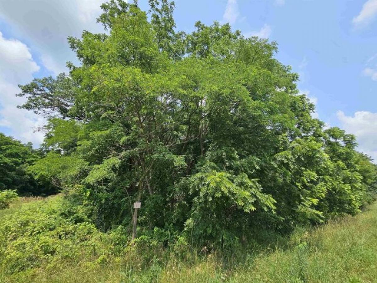 Picture of Residential Land For Sale in Oxford, Wisconsin, United States