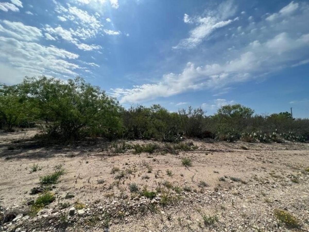 Picture of Residential Land For Sale in Eagle Pass, Texas, United States