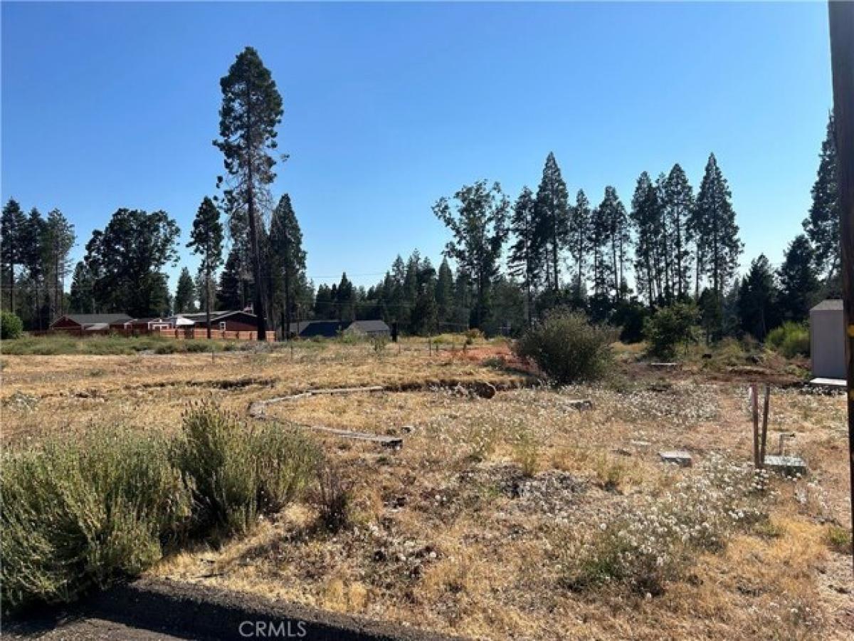 Picture of Residential Land For Sale in Magalia, California, United States