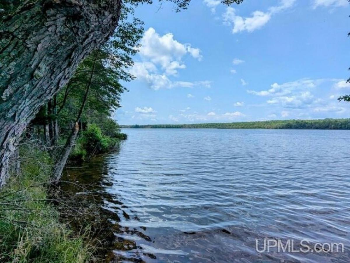 Picture of Residential Land For Sale in Iron River, Michigan, United States